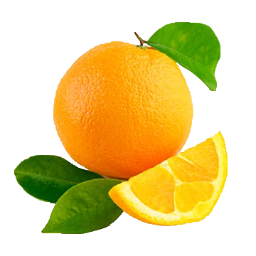 Portakal Konsantresi